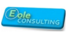 Eole consulting