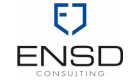 Euro netsecure &amp; defense consulting