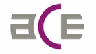 A.C.E (Audit Conseil Expertise)